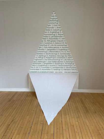 Kunstprojekt 2024